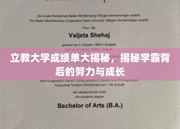 解码学霸之路，立教大学成绩单背后的奋斗与蜕变