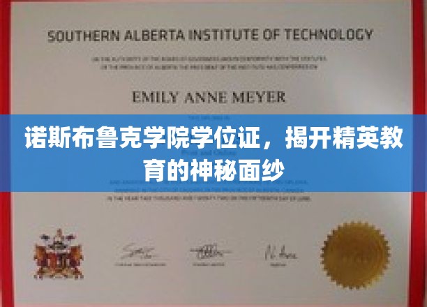 诺斯布鲁克学院学位证书，揭开精英教育的神秘面纱