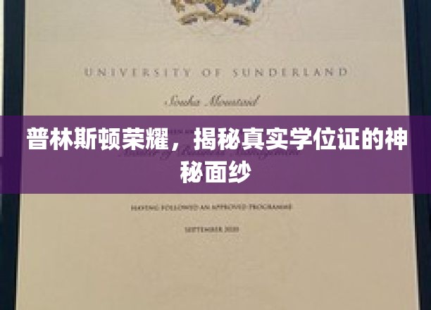 揭开普林斯顿荣耀背后的学位证之谜