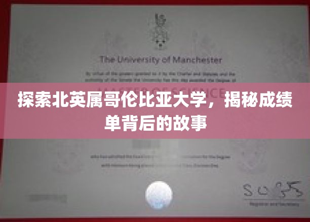 解码北英属哥伦比亚大学，揭开成绩单的神秘面纱
