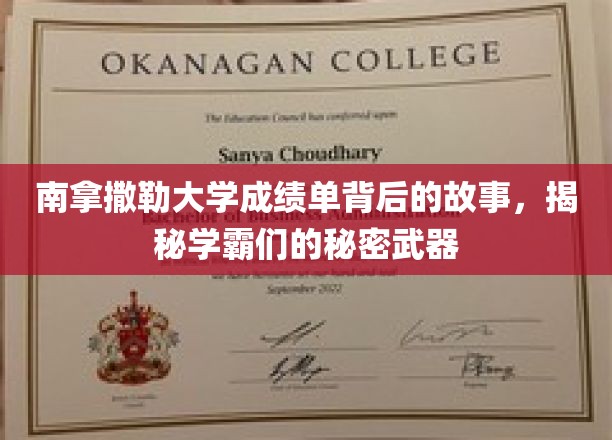 学霸养成记，南拿撒勒大学成绩单背后的神秘攻略大揭秘