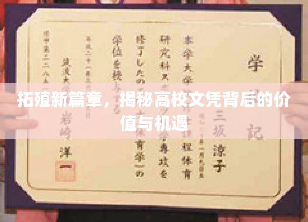 拓殖新篇章，揭秘高校文凭背后的价值与机遇