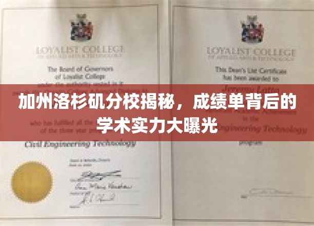 加州洛校实力揭秘，揭秘隐藏在成绩单后的学术光辉