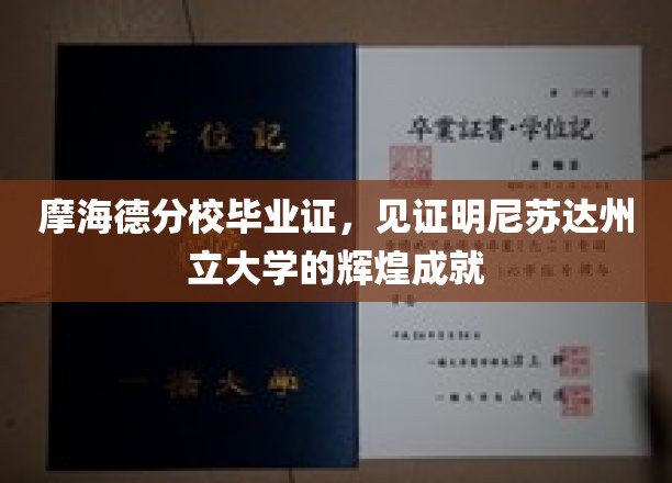 摩海德分校荣耀证书，见证尼苏达州立大学卓越篇章