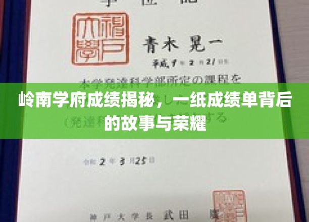 岭南名校辉煌揭晓，揭秘一纸成绩单背后的传奇与荣光