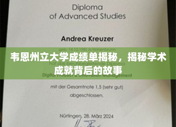 探索韦恩州立大学卓越成就背后的真实故事