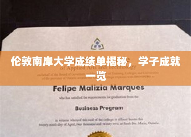 伦敦南岸大学成绩单揭秘，学子成就一览