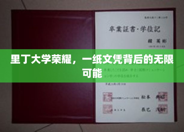 解码里丁荣耀，文凭背后的广阔未来