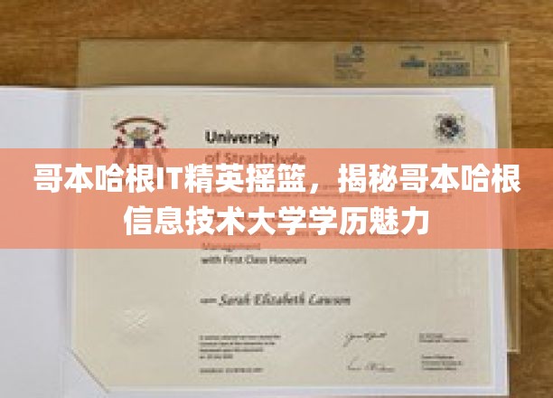 解码哥本哈根IT精英养成记，揭秘哥本哈根信息技术大学的魅力所在