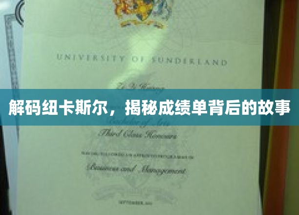 探寻纽卡斯尔辉煌背后的神秘力量
