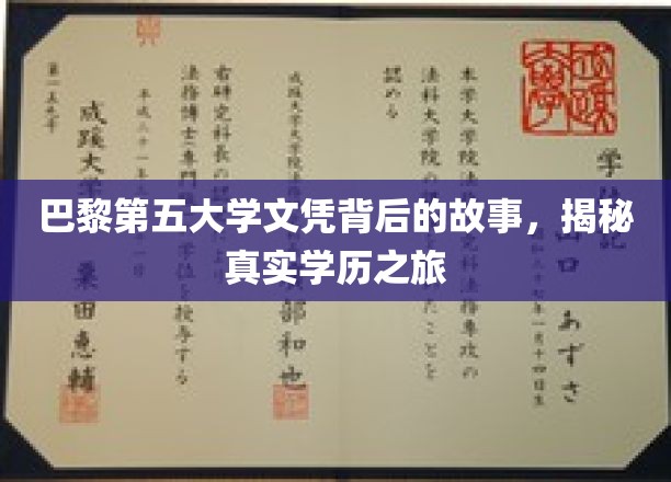 探寻巴黎第五大学文凭背后的传奇之旅