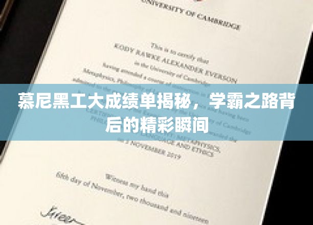 解码慕尼黑工大学霸传奇，揭秘学霸背后的璀璨瞬间
