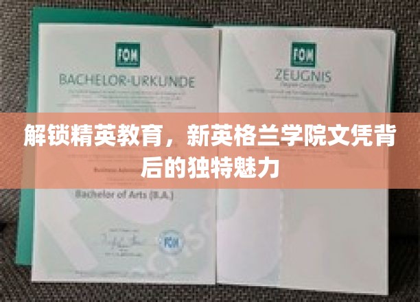 解锁精英教育，新英格兰学院文凭背后的独特魅力