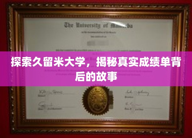 解码久留米大学，揭开成绩单背后的神秘面纱