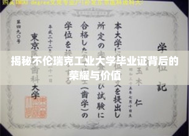揭秘不伦瑞克工业大学毕业证背后的荣耀与价值