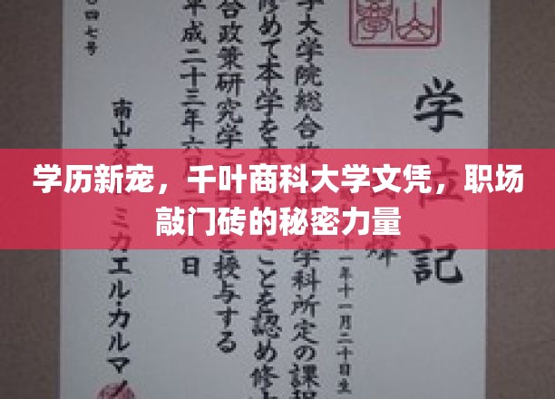 学历新宠，千叶商科大学文凭，职场敲门砖的秘密力量