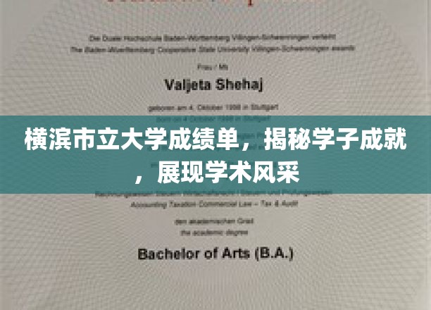 横滨市立大学成绩单,揭秘学子成就,展现学术风采