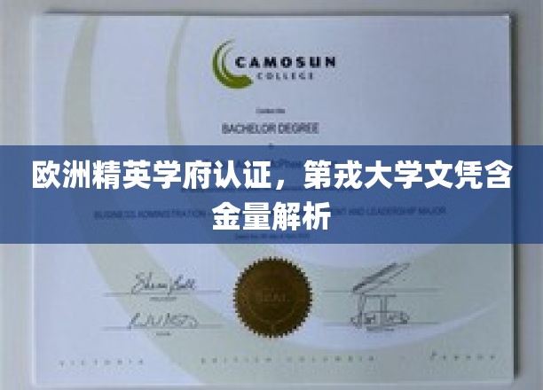 揭秘欧洲顶级学府，第戎大学文凭价值与认可度深度剖析