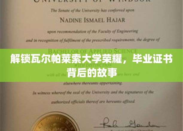 瓦尔帕莱索大学荣耀揭秘，毕业证书背后的传奇历程