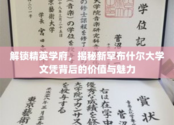 解锁精英学府，揭秘新罕布什尔大学文凭背后的价值与魅力