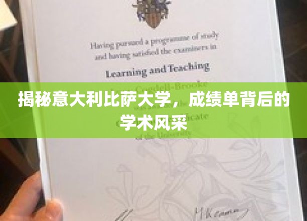 探寻比萨大学成绩单背后的学术魅力