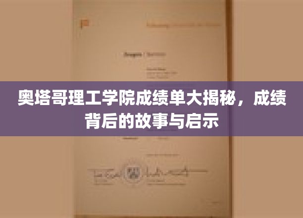 解码奥塔哥理工学院成绩单，背后的故事与深刻启示