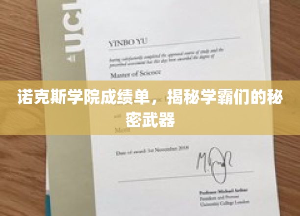 学霸秘籍大公开，诺克斯学院高分秘诀大揭秘