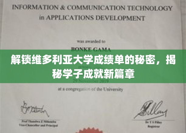 维多利亚大学成绩单揭秘，学子成就背后的秘密钥匙