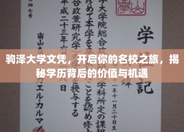 名校通行证，驹泽大学文凭，解锁无限未来与机遇
