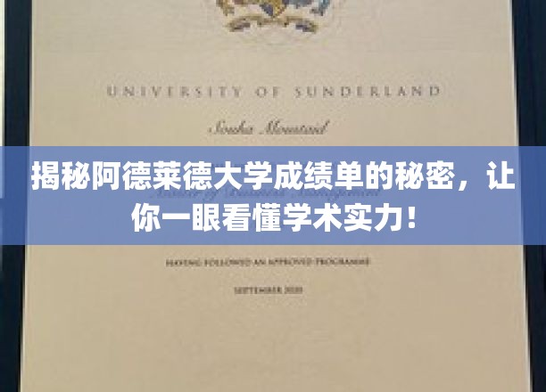 解码阿德莱德大学成绩单，掌握学术实力全攻略！