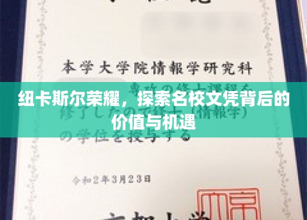 解码纽卡斯尔大学，名校文凭的价值与无限机遇