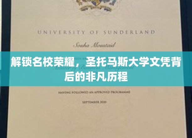 探寻圣托马斯大学荣耀，揭秘顶尖文凭背后的奋斗之路