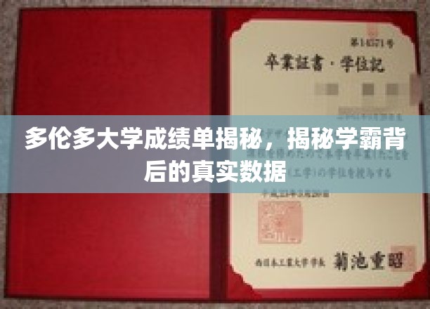 多伦多学霸养成记，深度解析成绩单背后的真实数据