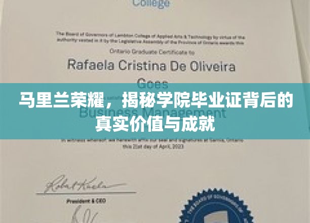 马里兰荣耀深探，毕业证背后的非凡价值与卓越成就