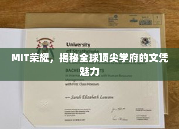 解码MIT荣耀，揭秘世界一流学府的文凭魔力