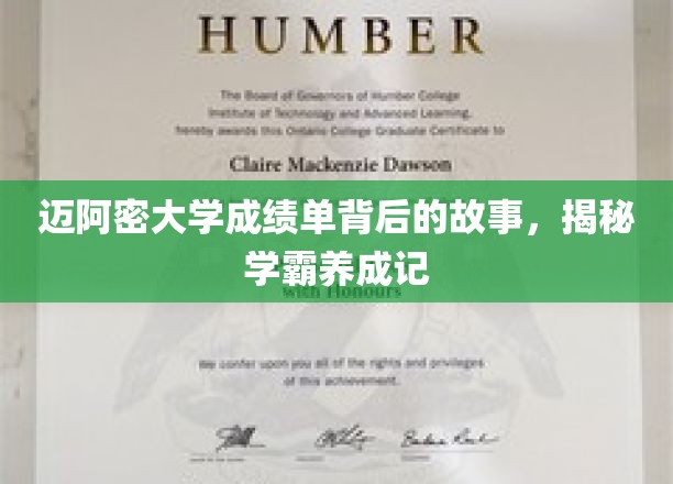 迈阿密学霸风云录，揭开成绩单背后的成长轨迹