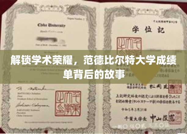 探寻范德比尔特大学成绩单背后的辉煌历程