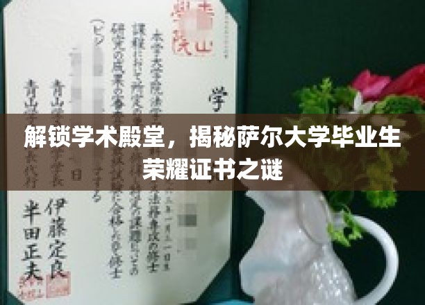 探索学术宝库，揭开萨尔大学毕业生荣耀证书的神秘面纱
