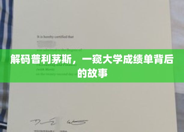 揭开普利茅斯大学成绩单的秘密面纱