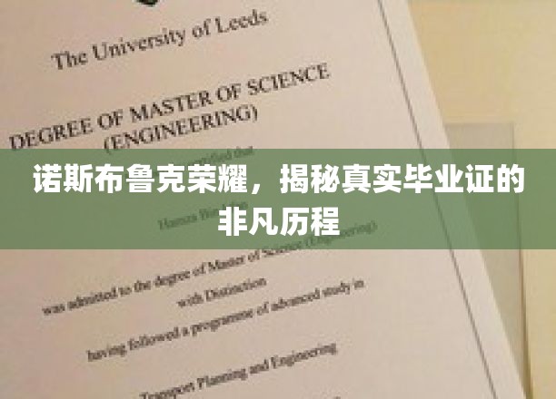 诺斯布鲁克荣耀背后的毕业证传奇，一纸证书的非凡之旅