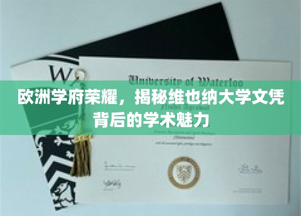 揭开维也纳大学文凭的光环，探寻欧洲学术殿堂的秘密魅力