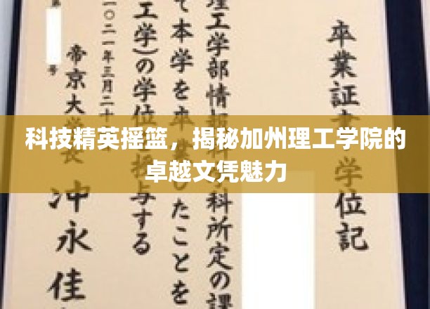 硅谷明珠，解码加州理工学院的顶尖学历吸引力