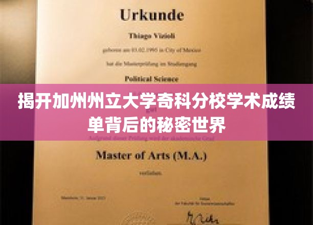 探寻加州州立大学奇科分校成绩单的神秘面纱