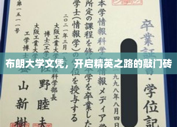 布朗大学文凭，解锁精英生涯的璀璨钥匙
