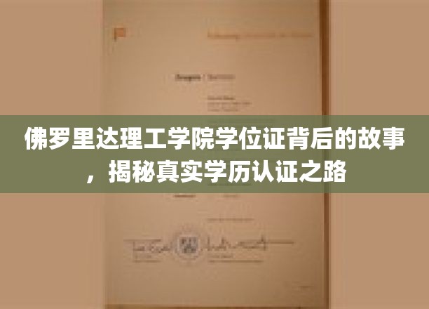 佛罗里达理工学院学位证背后的故事，揭秘真实学历认证之路