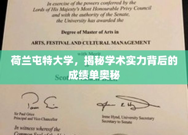 荷兰屯特大学，揭秘学术实力背后的成绩单奥秘