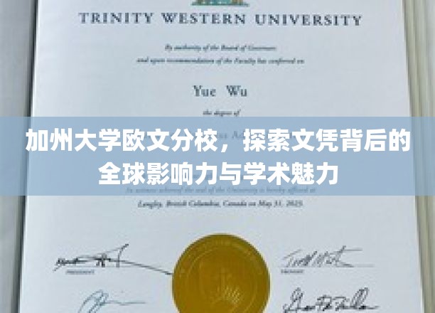 加州大学欧文分校，探索文凭背后的全球影响力与学术魅力