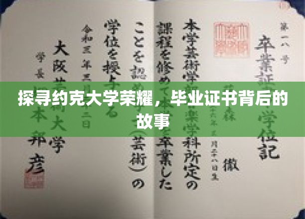 揭秘约克大学辉煌，毕业证书背后的传奇历程