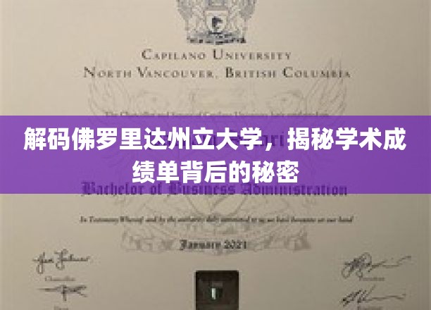 解码佛罗里达州立大学，揭示学术成绩单背后的奥秘