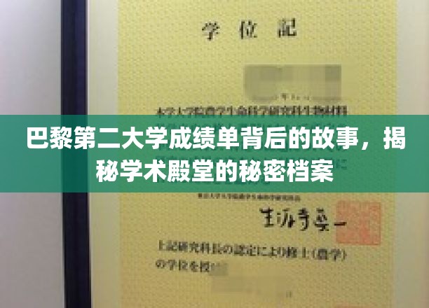 巴黎第二大学成绩单背后的故事，揭开学术殿堂的秘密档案
